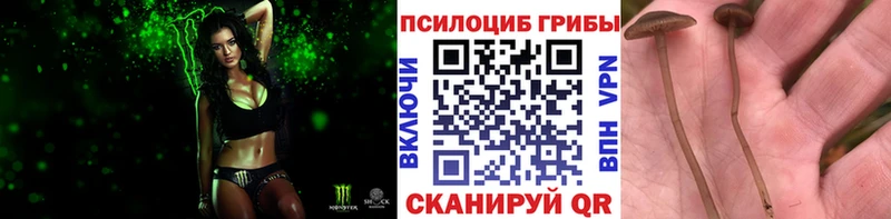 Псилоцибиновые грибы MAGIC MUSHROOMS  Ковров 